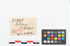 Etikett zu Bronzegürtelhaken (NHMW-PRAE-025897)